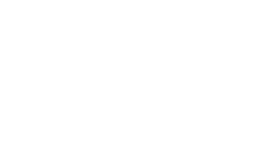 logo2